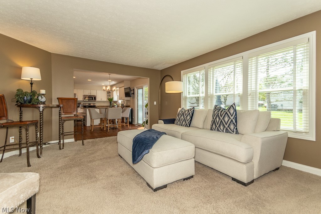 Villas At Macintosh Farms - Residential
