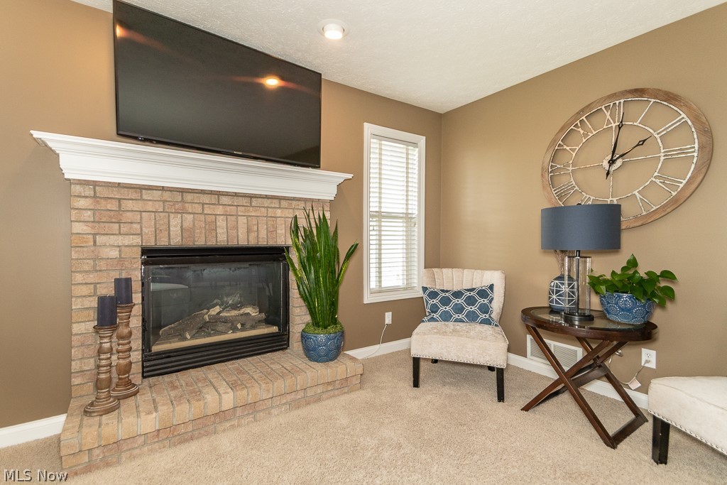 Villas At Macintosh Farms - Residential