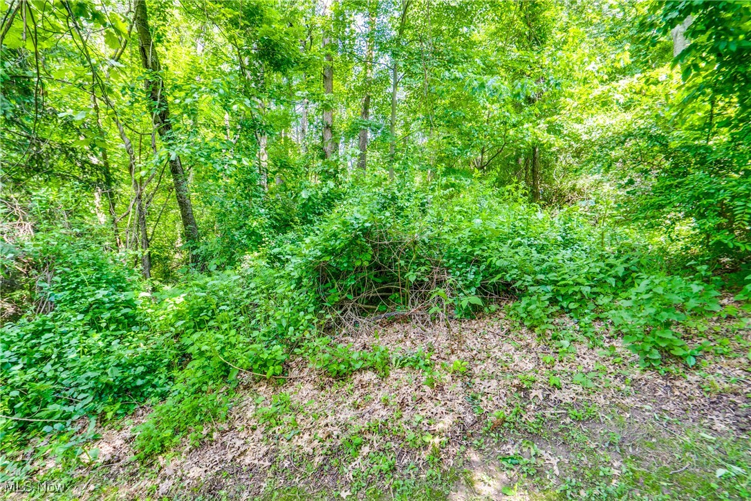 2577 Sweitzer Road, Uniontown, Ohio image 40