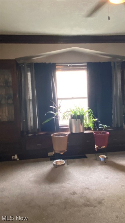 Garfield Park - Residential Income