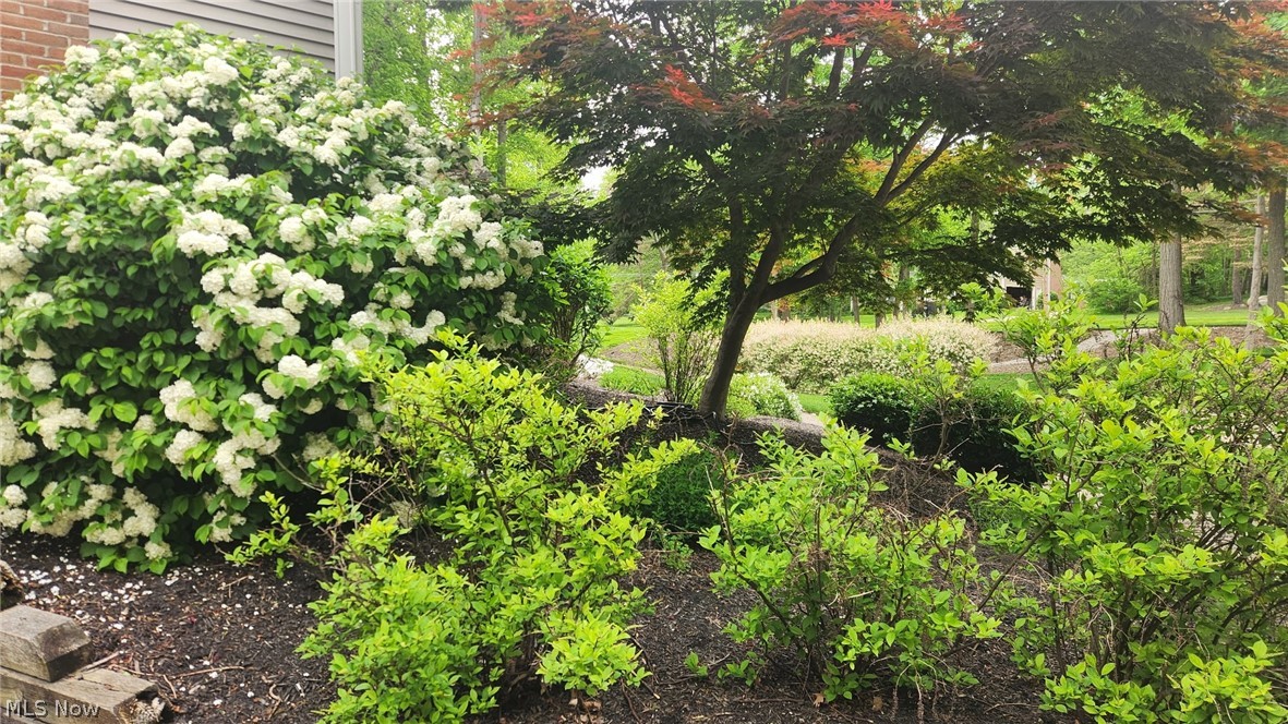 Leighton Estates - Residential