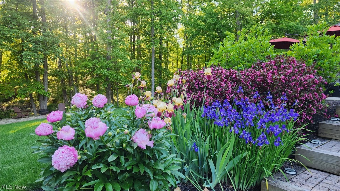 Leighton Estates - Residential