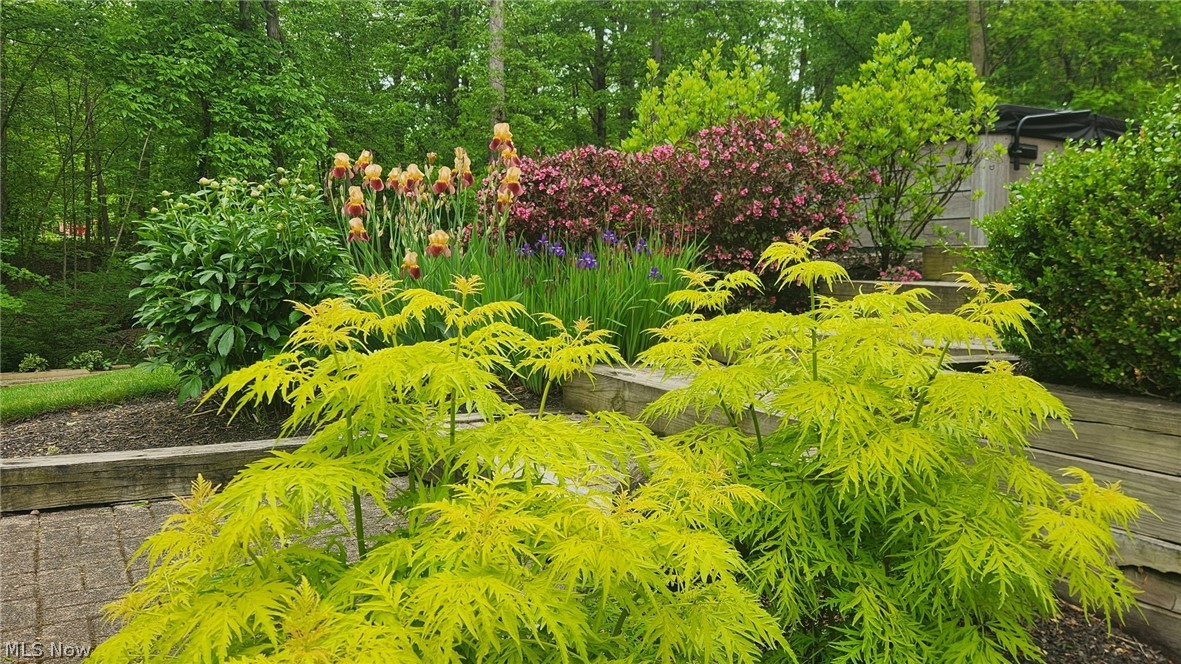 Leighton Estates - Residential