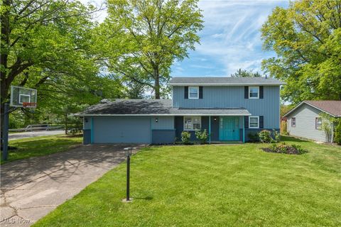 5420 Gargasz Drive Lorain OH 44053