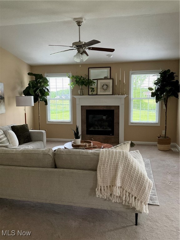 1487 Lake Front Boulevard, North Lima, Ohio image 6