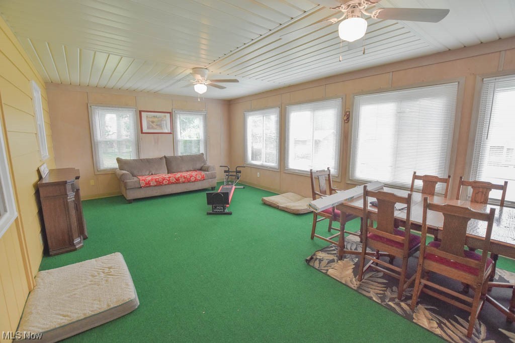 Pine Hills - Residential