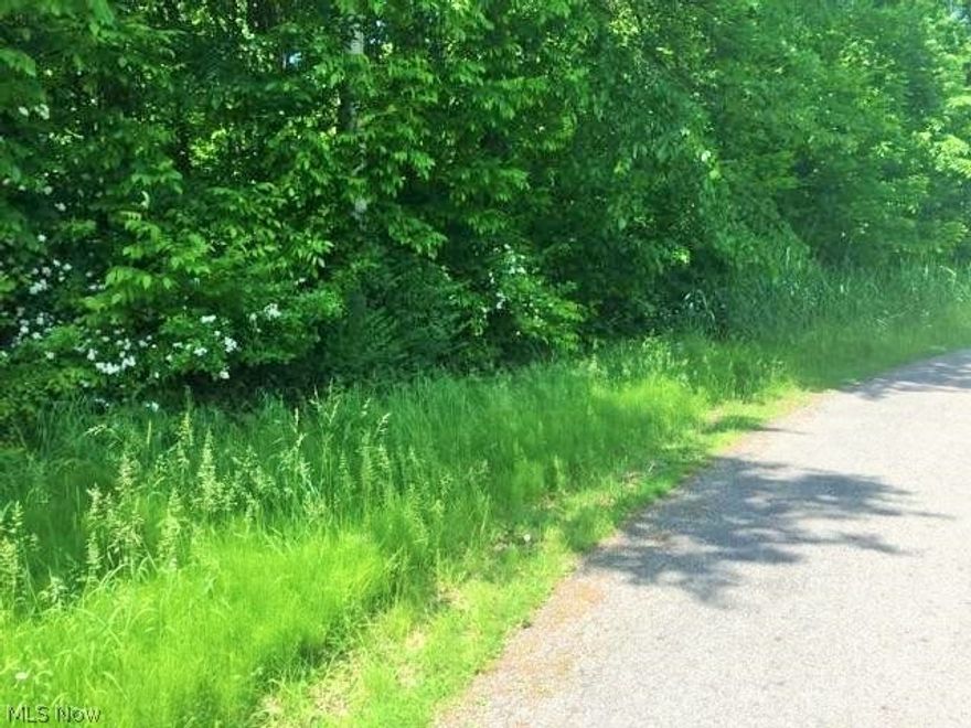 Nice 100 x 130 building lot. All city utilities, sewer, water & gas. Lake Milton, Ohio's 72nd State Park. Amphitheater, beach, swimming, fishing, boating, walking and jogging trails plus golf, wineries and shopping.