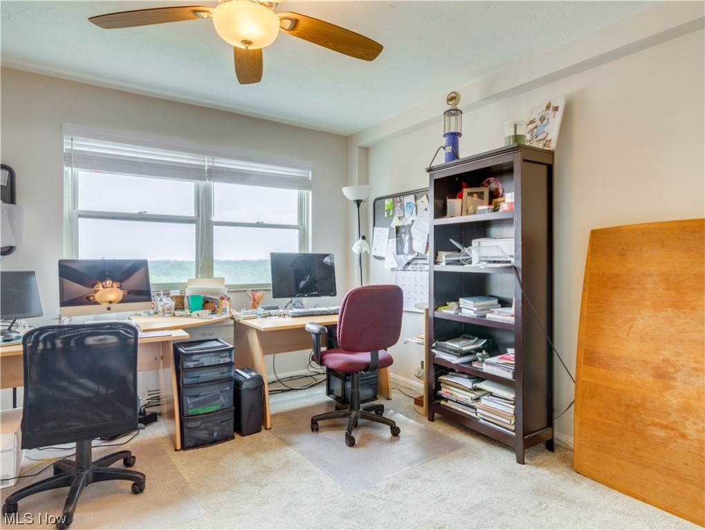 Shaker Towers Condo - Residential