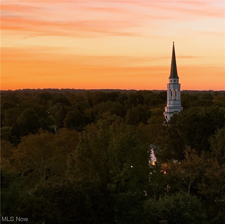 Shaker Towers Condo - Residential