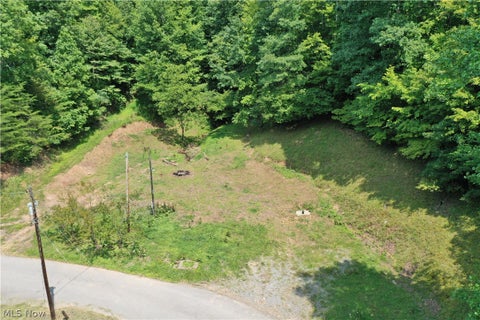 Vacant Land For Sale - 998 Sugarcamp Road<br/> Big Bend, WV 26136