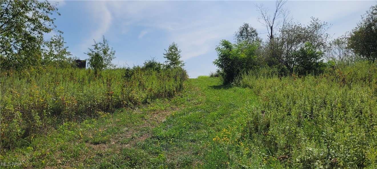 17418 Township Highway 118, Coshocton, Ohio image 8