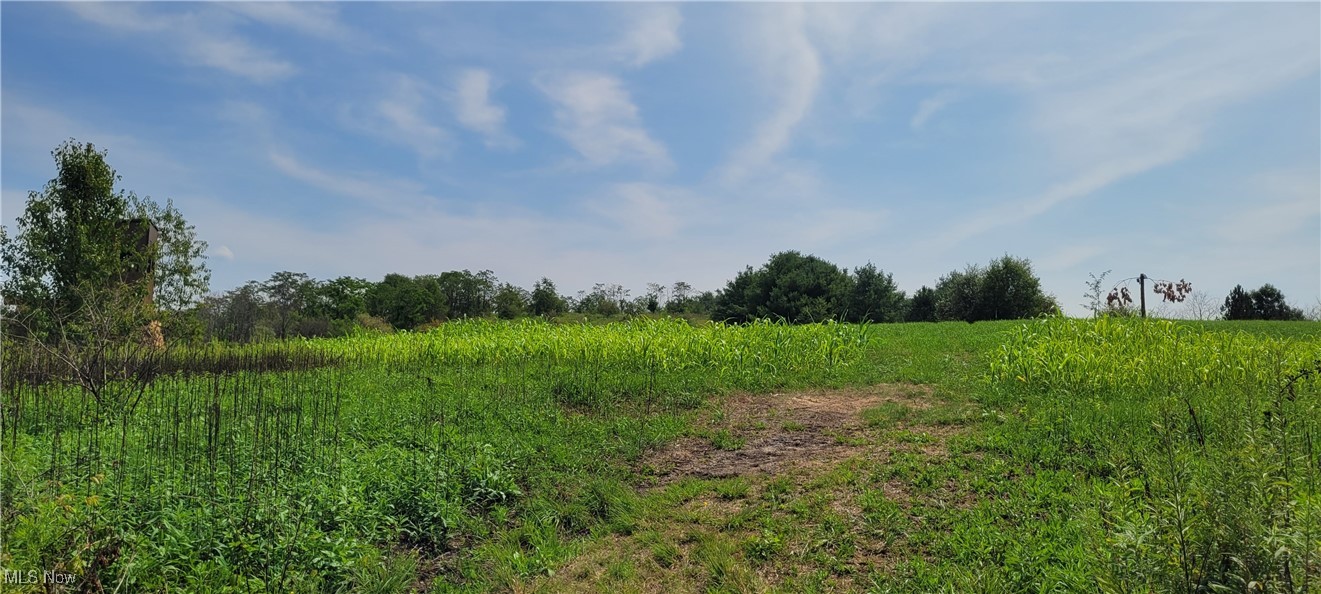 17418 Township Highway 118, Coshocton, Ohio image 9