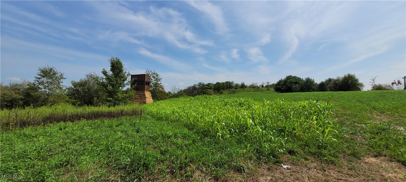 17418 Township Highway 118, Coshocton, Ohio image 10