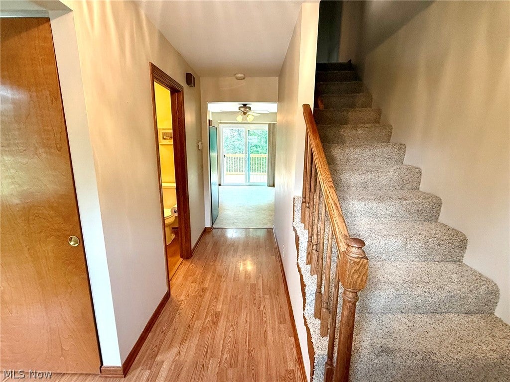 114 Shady Lane