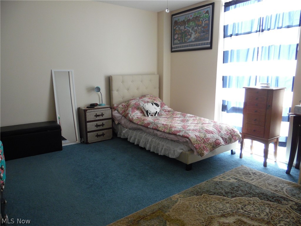 Bonnevilie Tower Condo - Residential