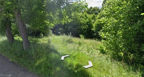 Vacant Land For Sale - 9284 Briar Road<br/> Carroll County, Magnolia, OH 44643