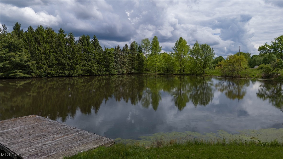 10473 Lisbon Road, Canfield, Ohio image 23