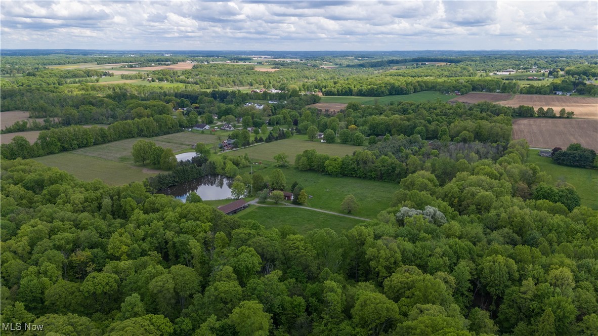 10473 Lisbon Road, Canfield, Ohio image 10