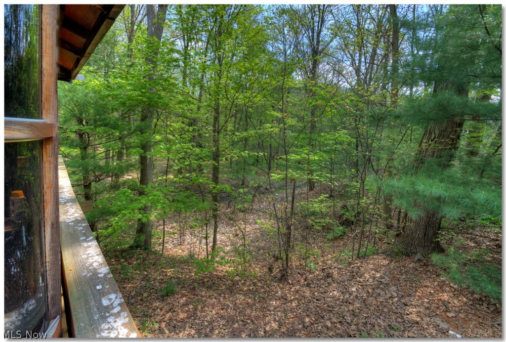 Pine Lake - Residential