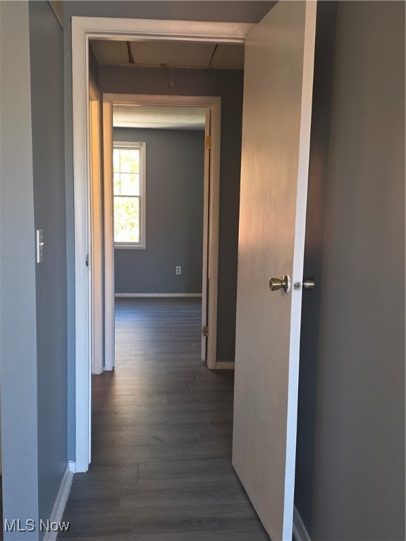 Palmetto Ave Sub 1 Ph 1a - Residential