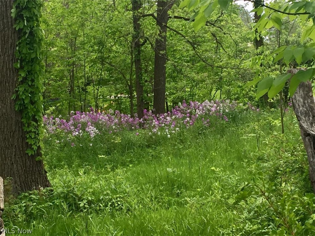 Sharon - Residential