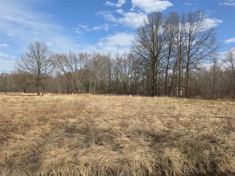 Vacant Land For Sale - 3366 Eagle Creek Road<br/> Leavittsburg, OH 44430