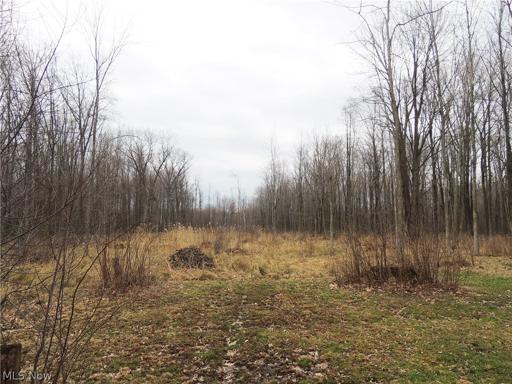 Geneva Sec 01 - Land