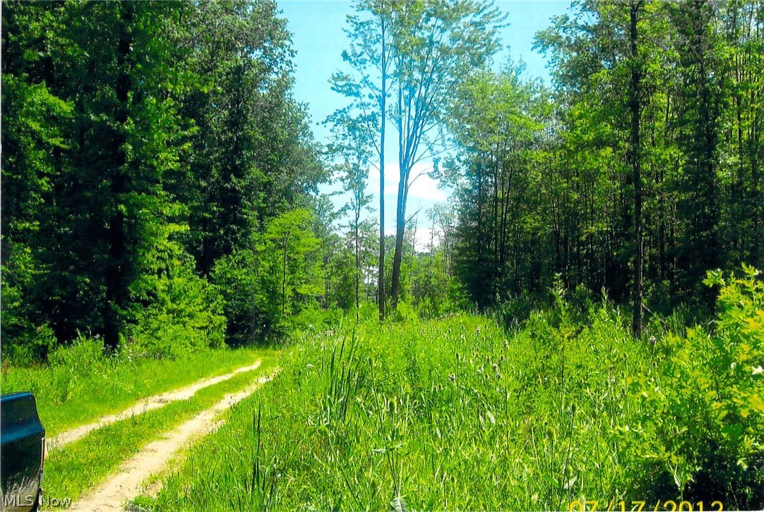 Geneva Sec 01 - Land