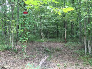 Flat, Treed 5.18 ac 160'x1412" lot 1 mile from Lake Milton and Craig Beach. Perc tested and approved All natural resources transfer.