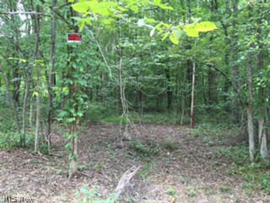 Flat, Treed 5.18 ac 160'x1412" lot 1 mile from Lake Milton and Craig Beach.  Perc tested and approved All natural resources transfer.