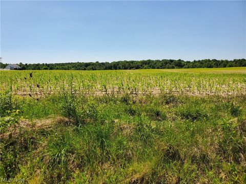 Vacant Land For Sale - PARCEL C Nash Road<br/> Geauga County, Middlefield, OH 44062