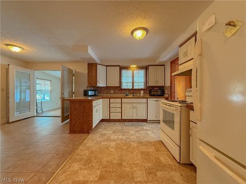 Tiny photo for 7318 Friendsville Road, Lodi, OH 44254 (MLS # 5193626)