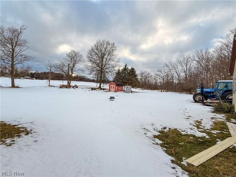 Tiny photo for 7318 Friendsville Road, Lodi, OH 44254 (MLS # 5193626)