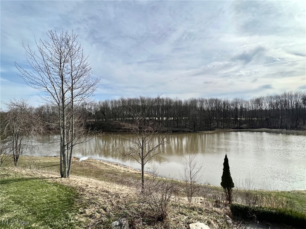 7678 Clay Street, Thompson, Ohio image 42