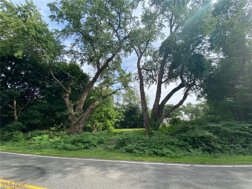 Location Location! Affordable building lot in the heart of Portage Lakes. This level lot is just a short walk to the Portage Lakes and the Portage Lakes restaurant district.  Also convenient highway access.  Utilities at the street include gas, electric, phone, cable, and sewer.  This lot does not have an HOA so bring your own builder and park your boat in your own driveway. There are 2 additional lots that are also available.  Buy all 3 lots and have .75 acre lot to build on. Build now or buy and hold and have a prime parking spot for your boat this summer.