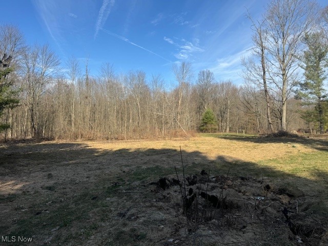19198 Mumford Road, Garrettsville, Ohio image 6