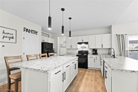 Tiny photo for 37220 White Feather Avenue, North Ridgeville, OH 44039 (MLS # 5252332)