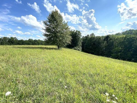Vacant Land For Sale - Little Left Hand Road<br/> Looneyville, WV 25259