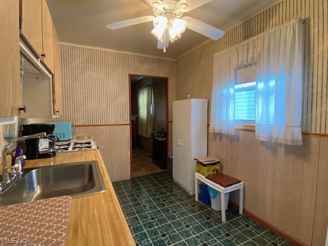 Elmwood - Residential