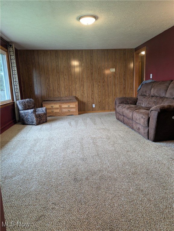 9581 Colton Road, Windham, Ohio image 12