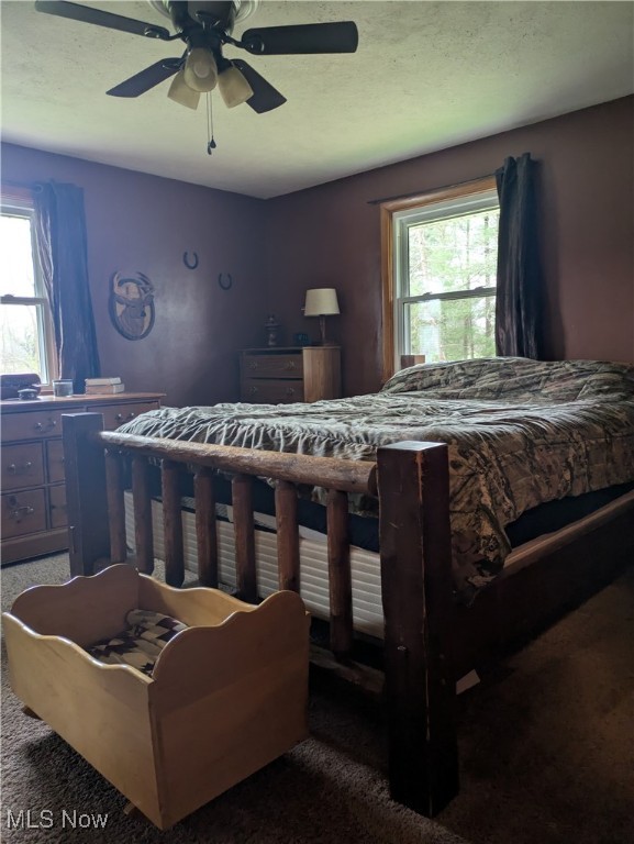 9581 Colton Road, Windham, Ohio image 15