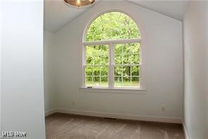 254 Lucretia Lane, Columbiana, Ohio image 10
