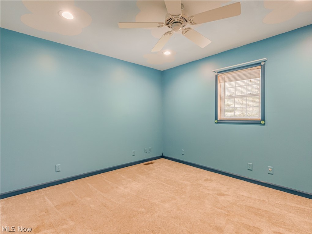 Braceville Township Sec 13 - Residential