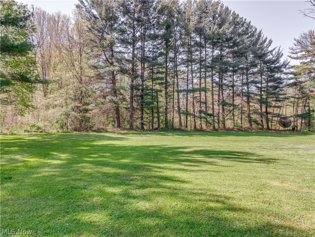 Braceville Township Sec 13 - Residential