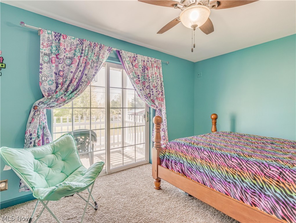 Braceville Township Sec 13 - Residential