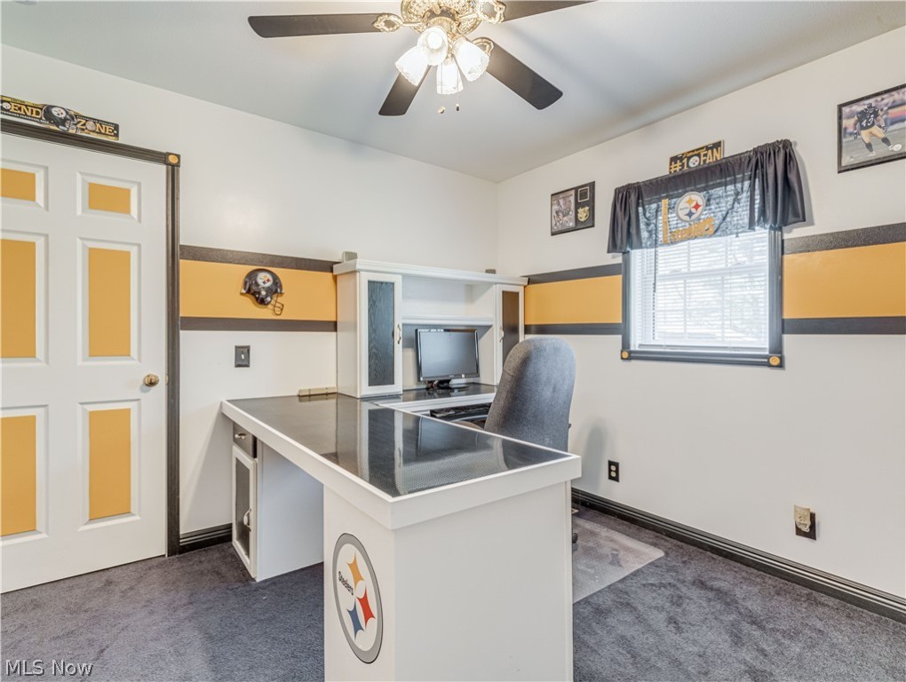 Braceville Township Sec 13 - Residential