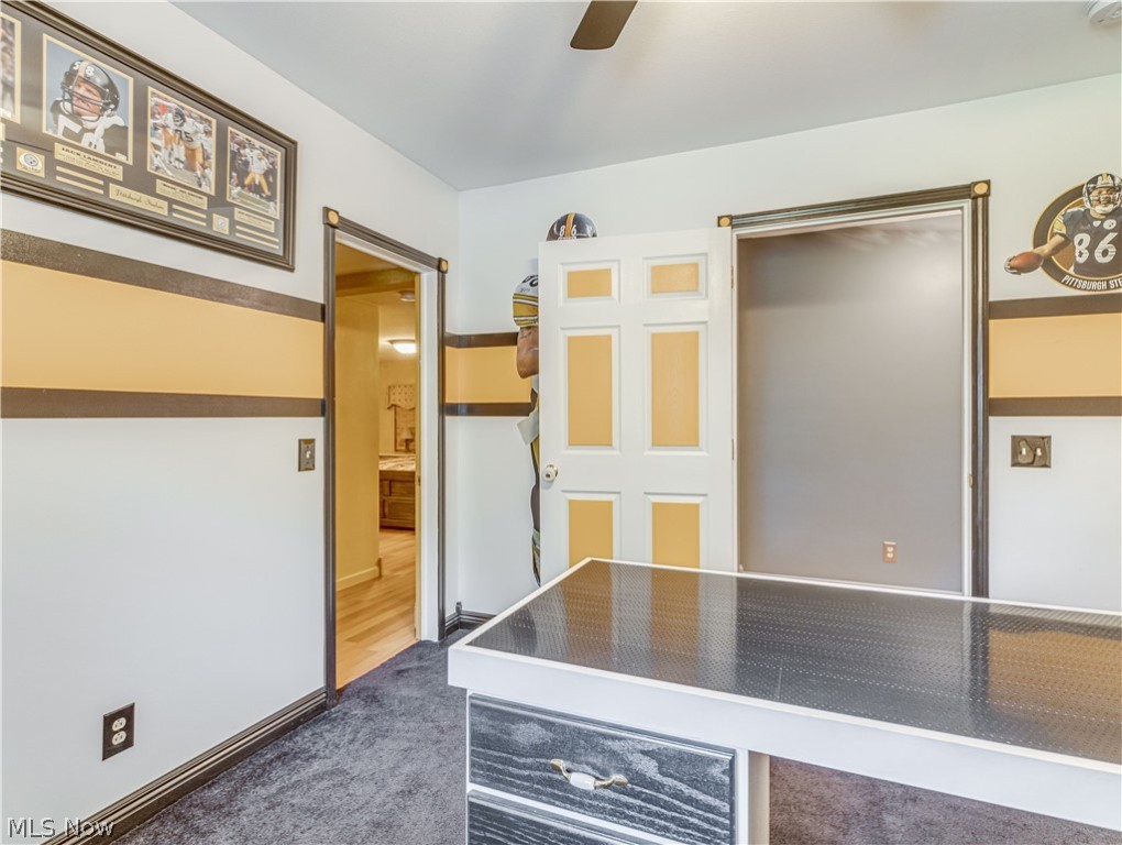 Braceville Township Sec 13 - Residential