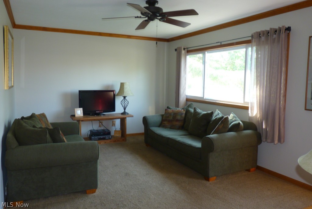 Brooklawn Meadows - Residential