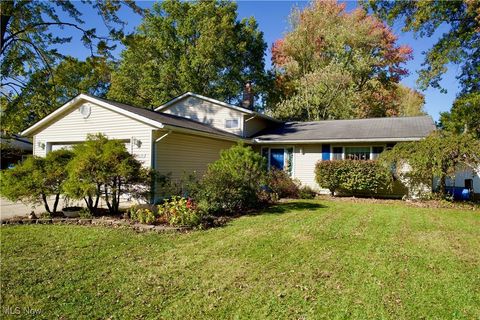 28130 Angela Drive North Olmsted OH 44070