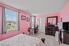 177 Fairfield Drive, Elyria, Ohio image 30